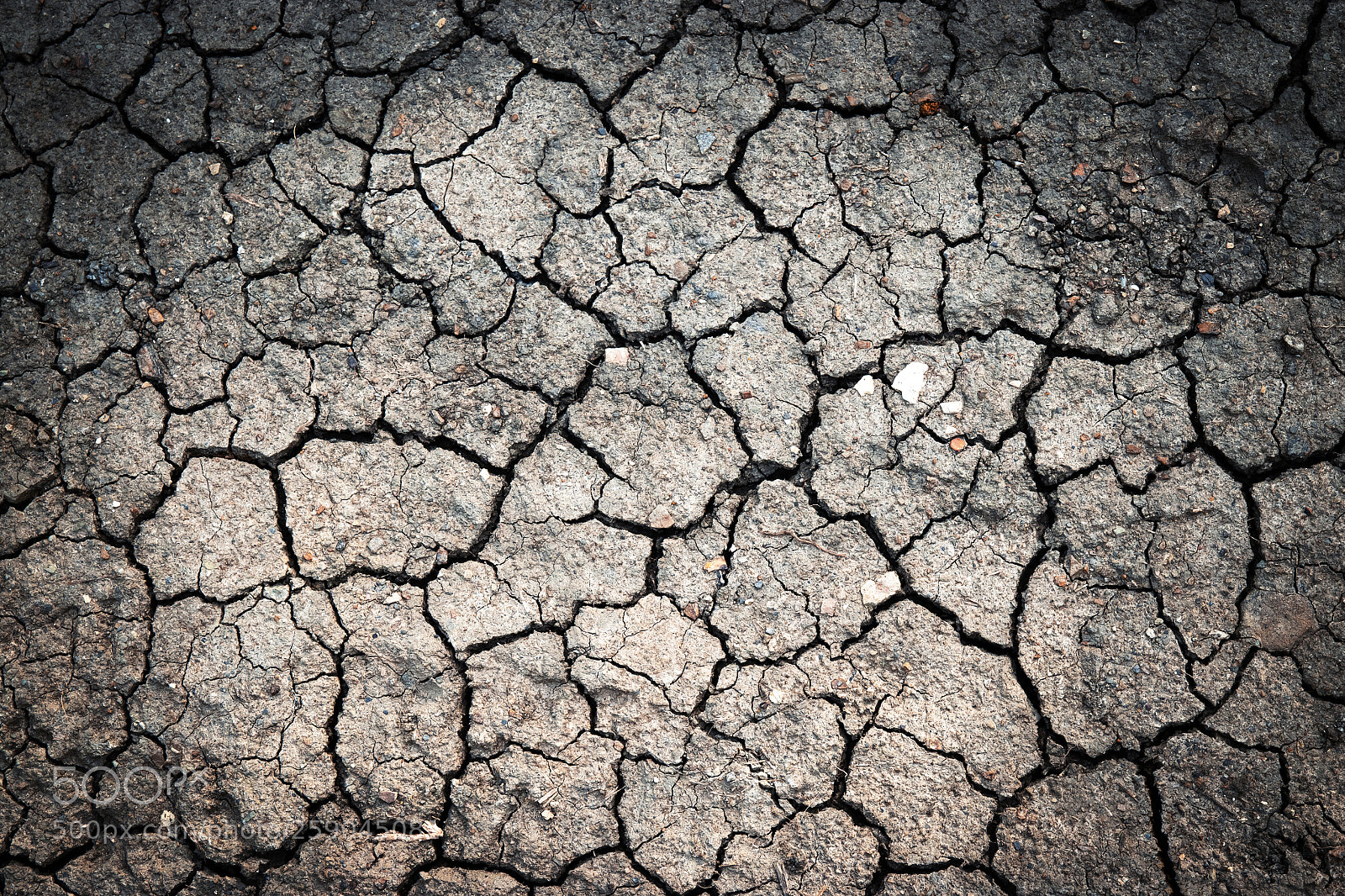 Nikon D5500 sample photo. Clay loam with cracks photography