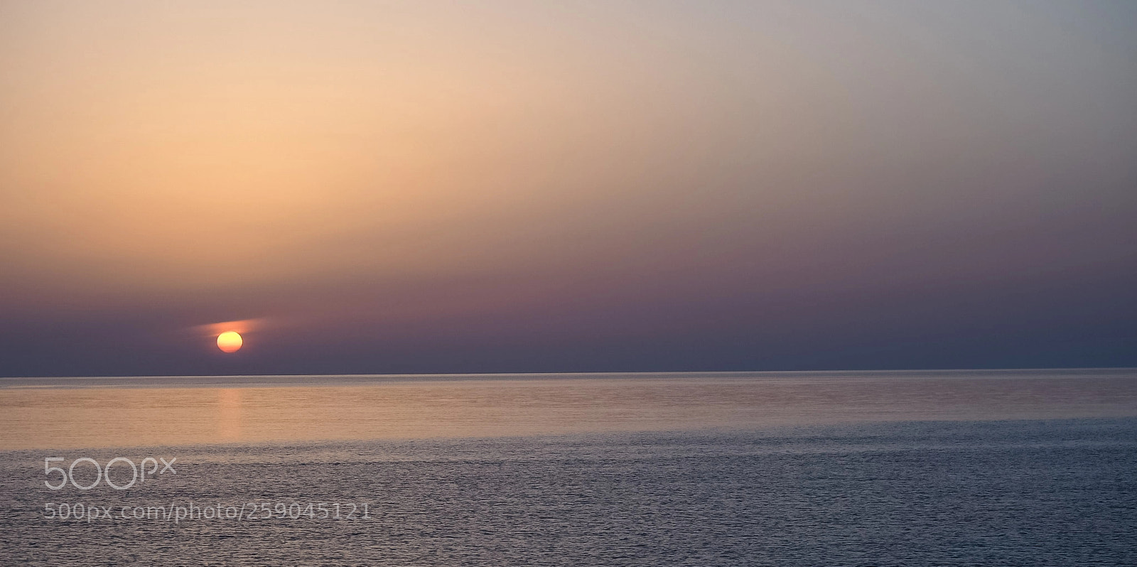 Olympus OM-D E-M1 Mark II sample photo. Yellow paper sun photography