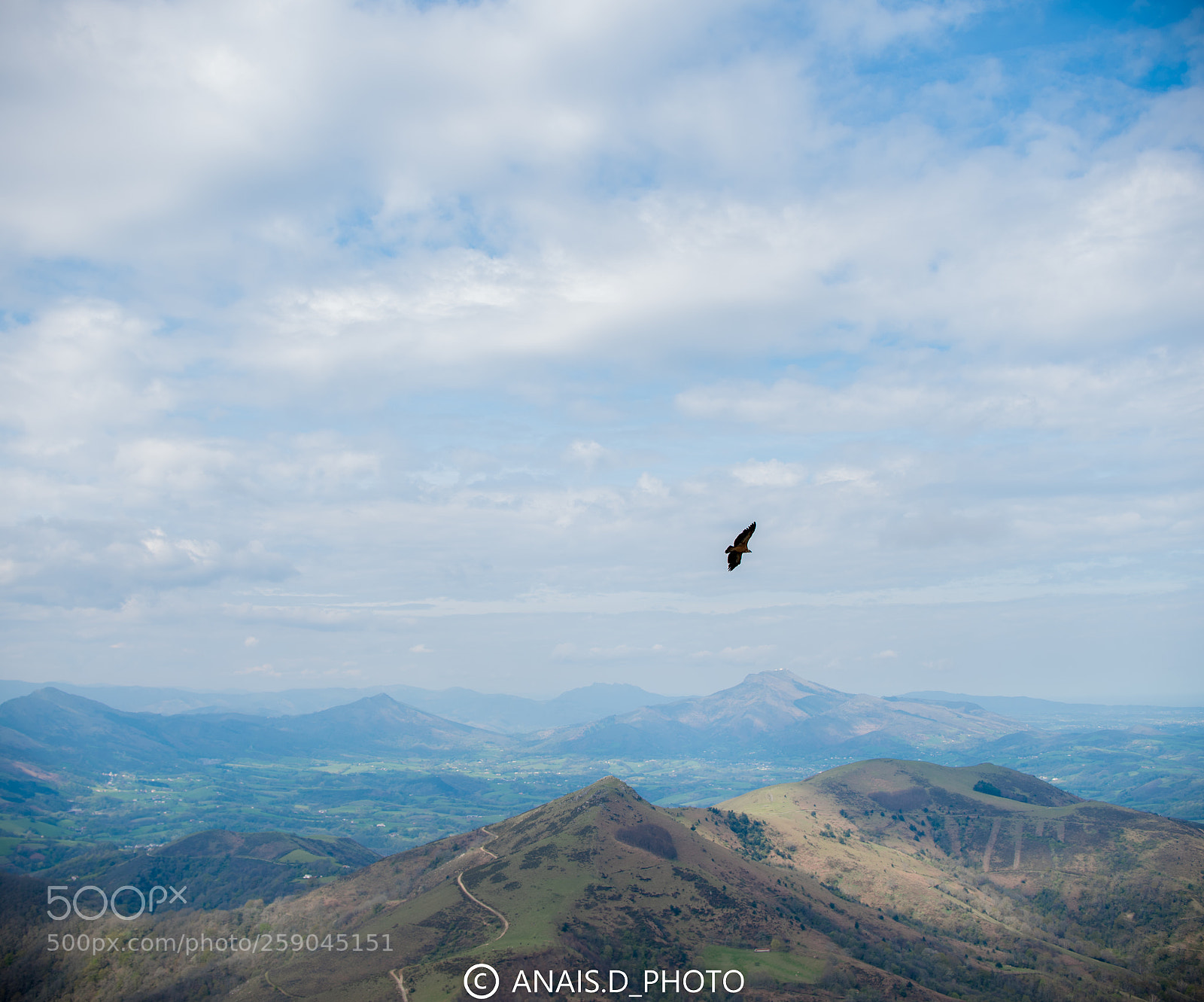 Nikon D750 sample photo. Mondarrain photography