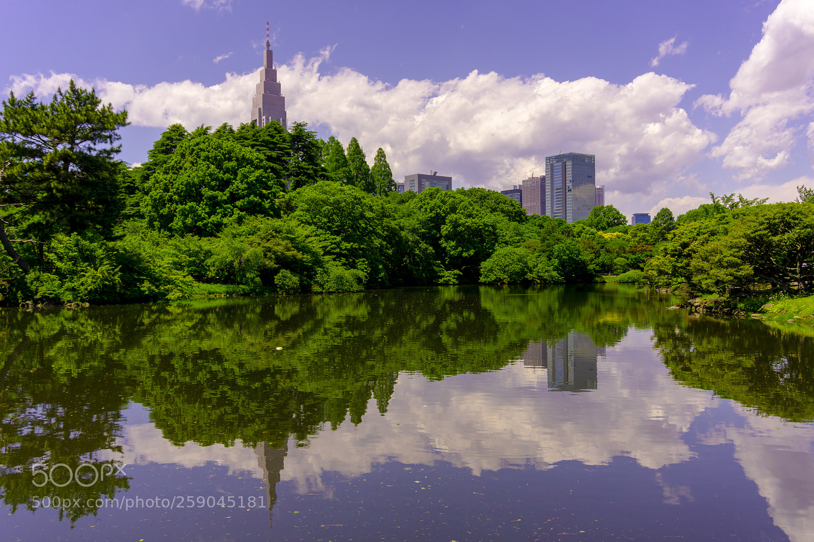 Sony a6000 sample photo. Shinjuku gyoen photography