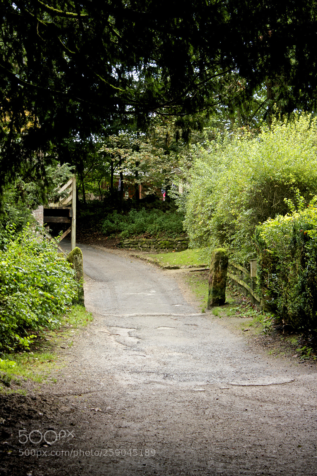 Canon EOS 550D (EOS Rebel T2i / EOS Kiss X4) sample photo. Green grove photography