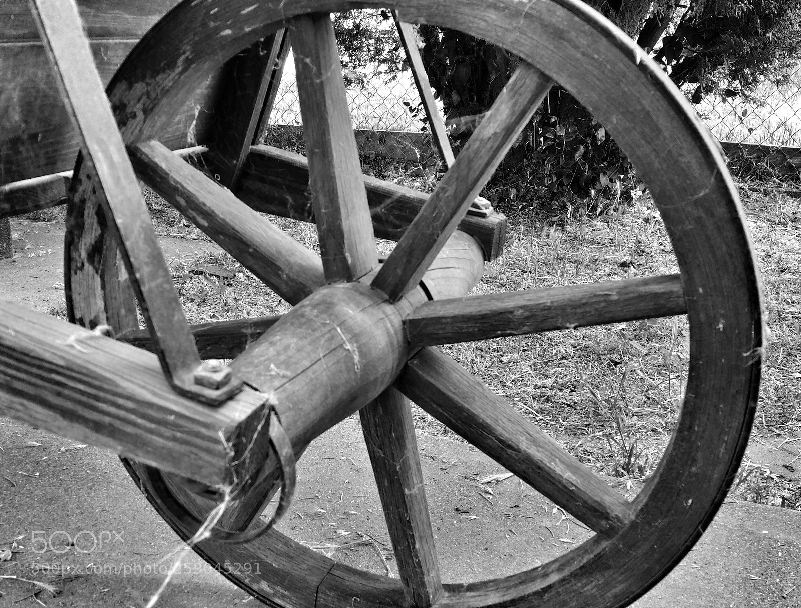 Samsung Galaxy Note4 sample photo. Antique wheelbarrow photography