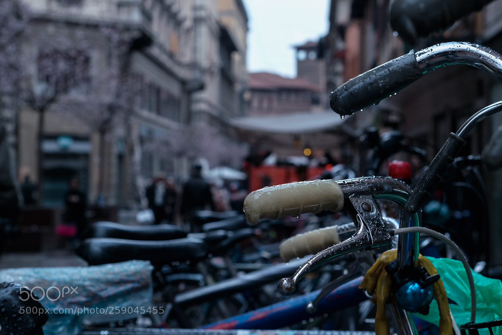 Nikon D5300 sample photo. Rusted bykes photography