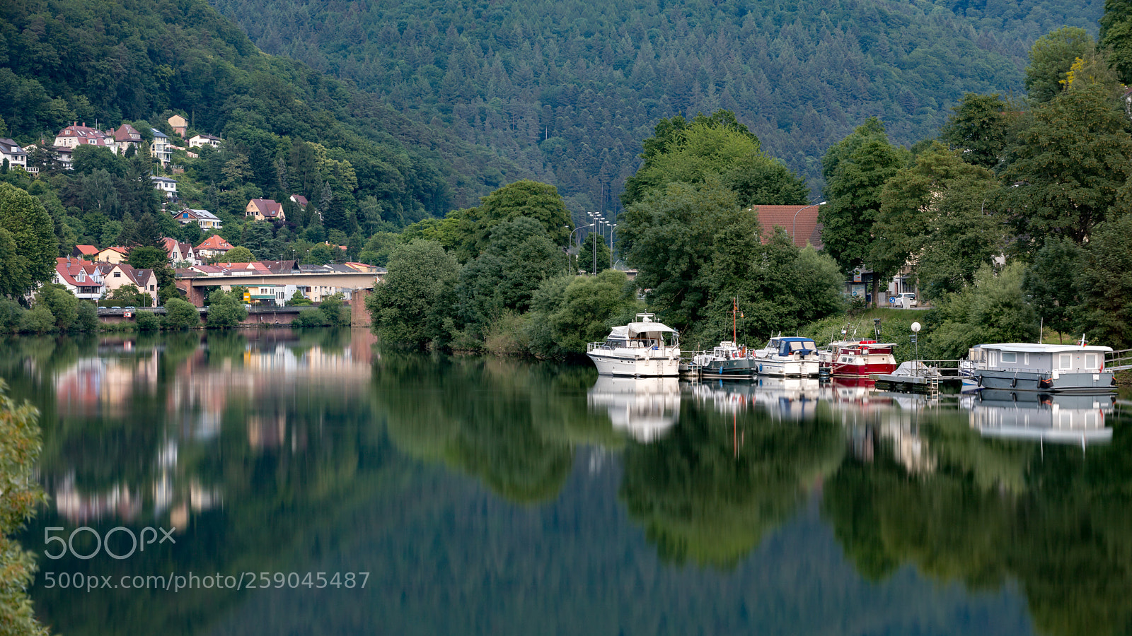 Canon EOS 5D Mark IV sample photo. River neckar photography