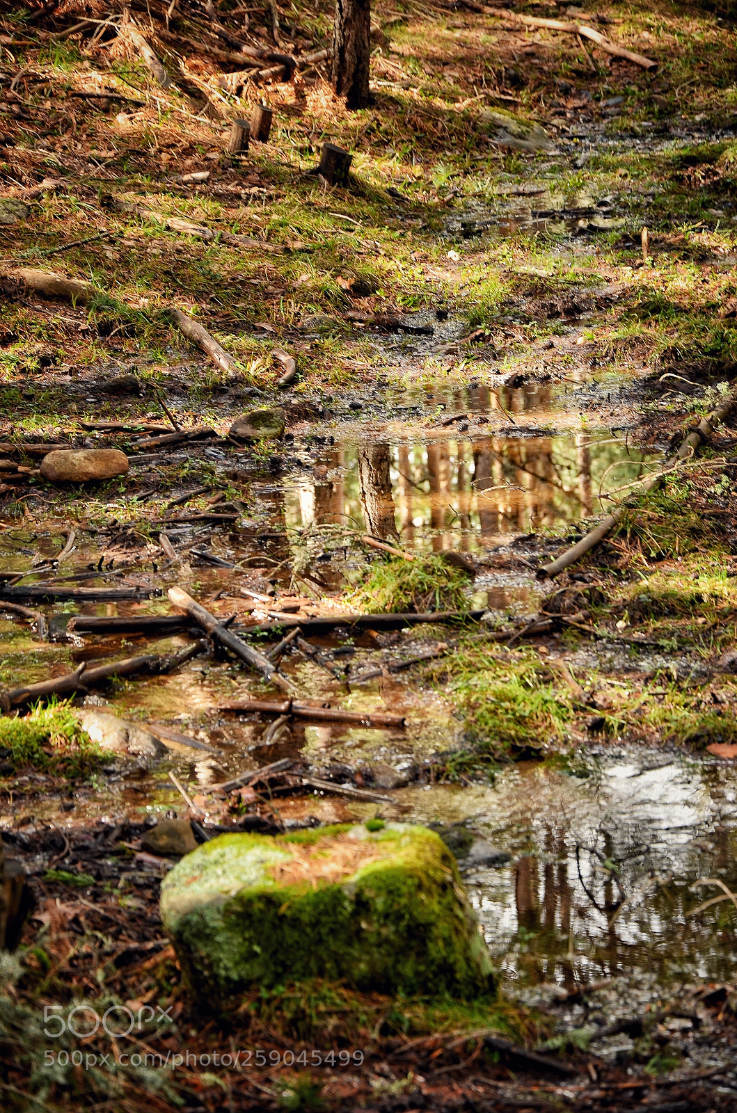 Nikon D5100 sample photo. Reflections photography