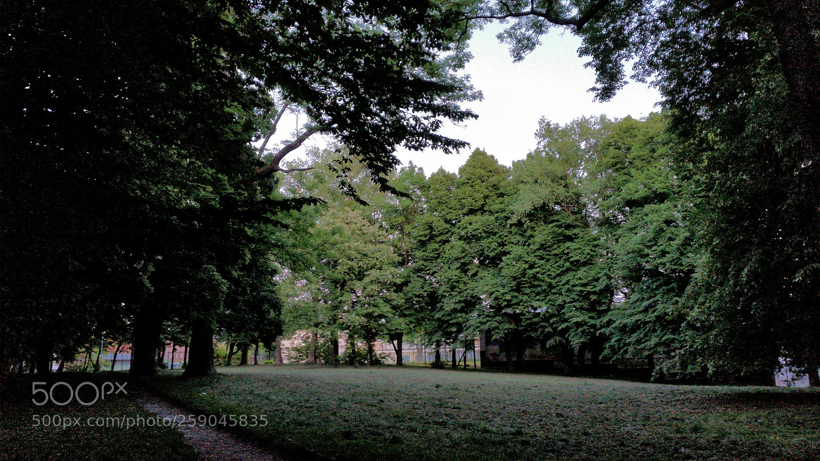 Samsung Galaxy S5 sample photo. In park photography