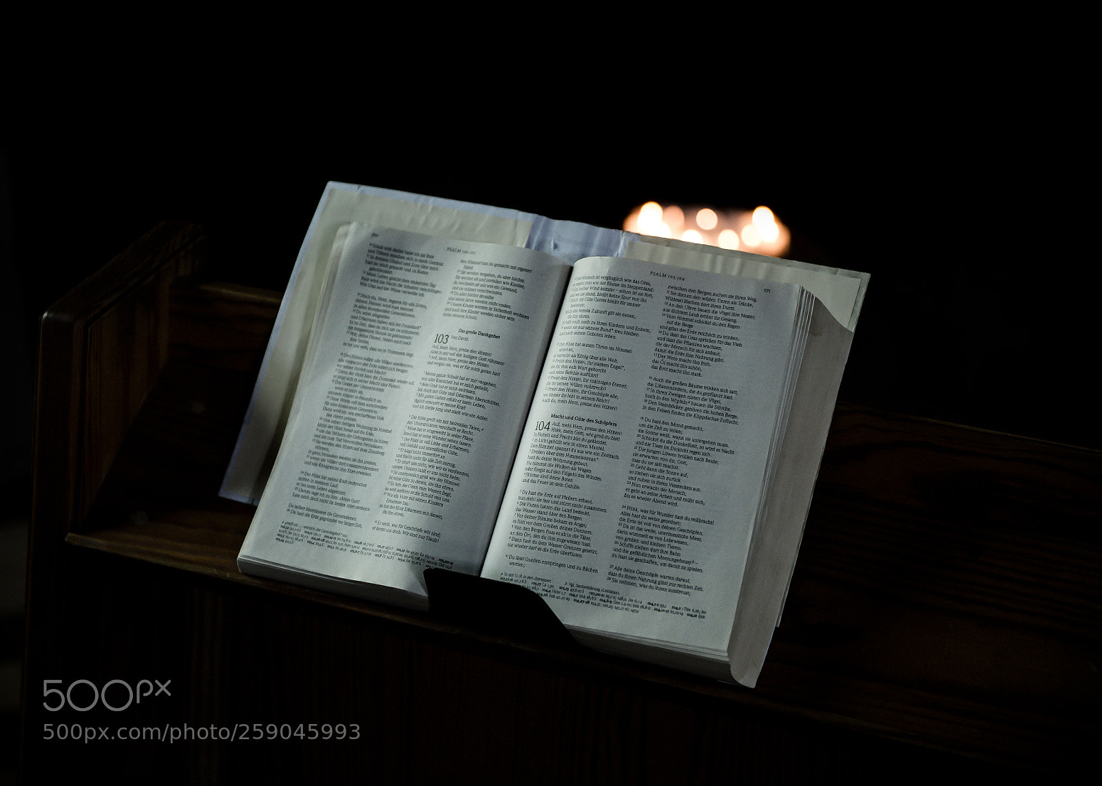 Nikon D4 sample photo. Meditation photography