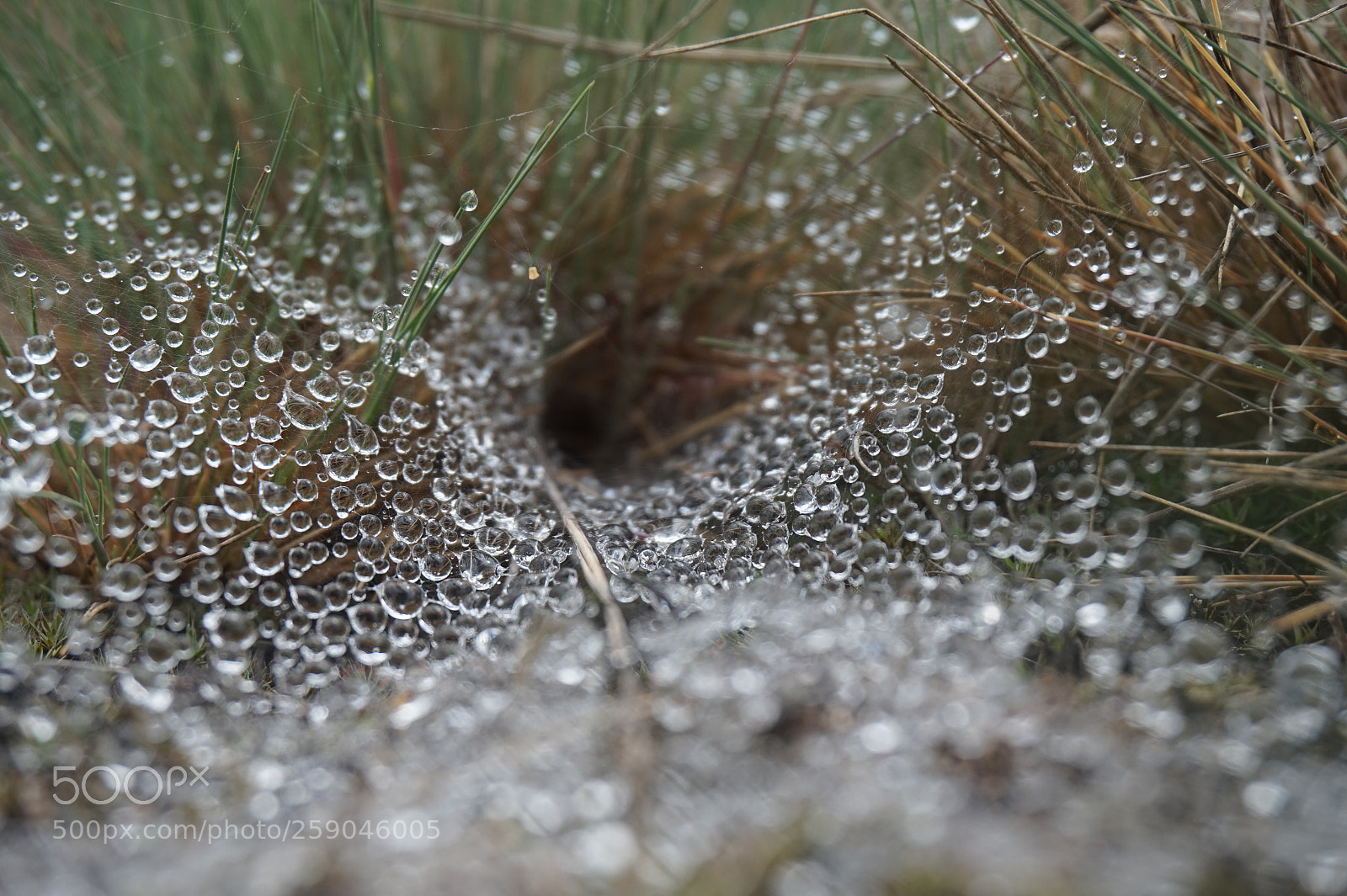 Sony Alpha a5000 (ILCE 5000) sample photo. Untitled photography