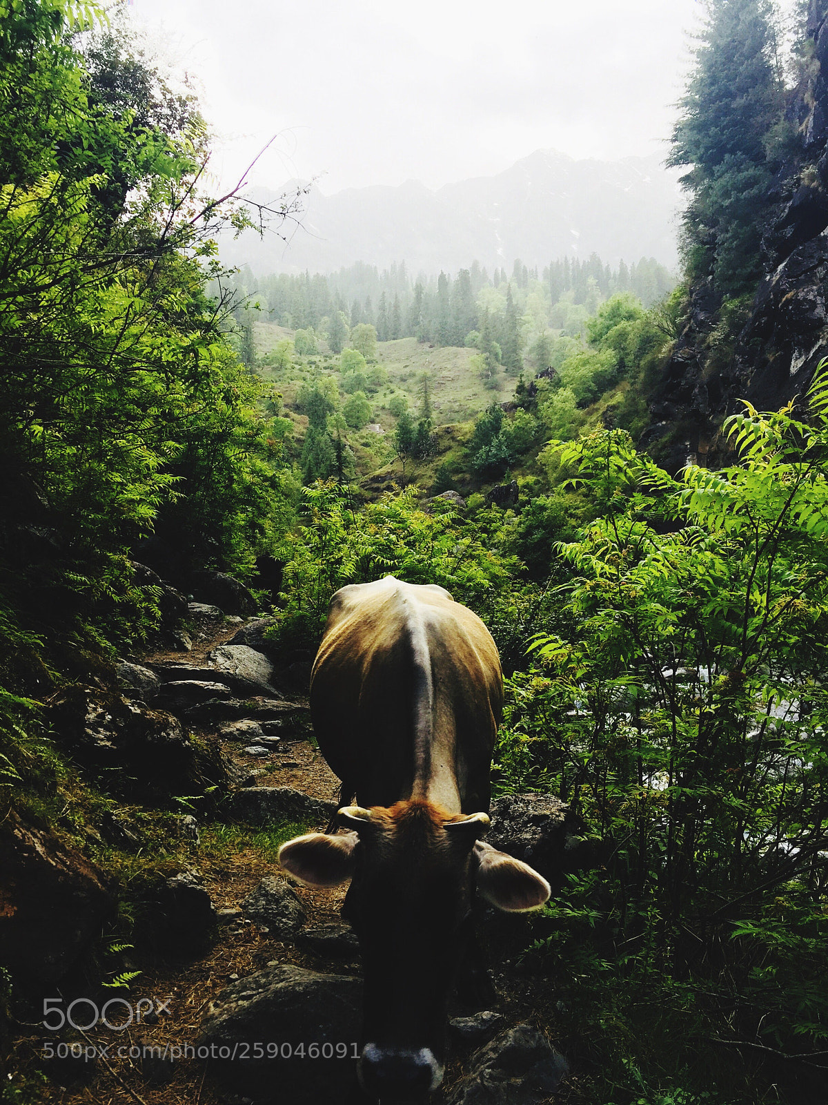 Apple iPhone 6 sample photo. Lonely paradise  photography