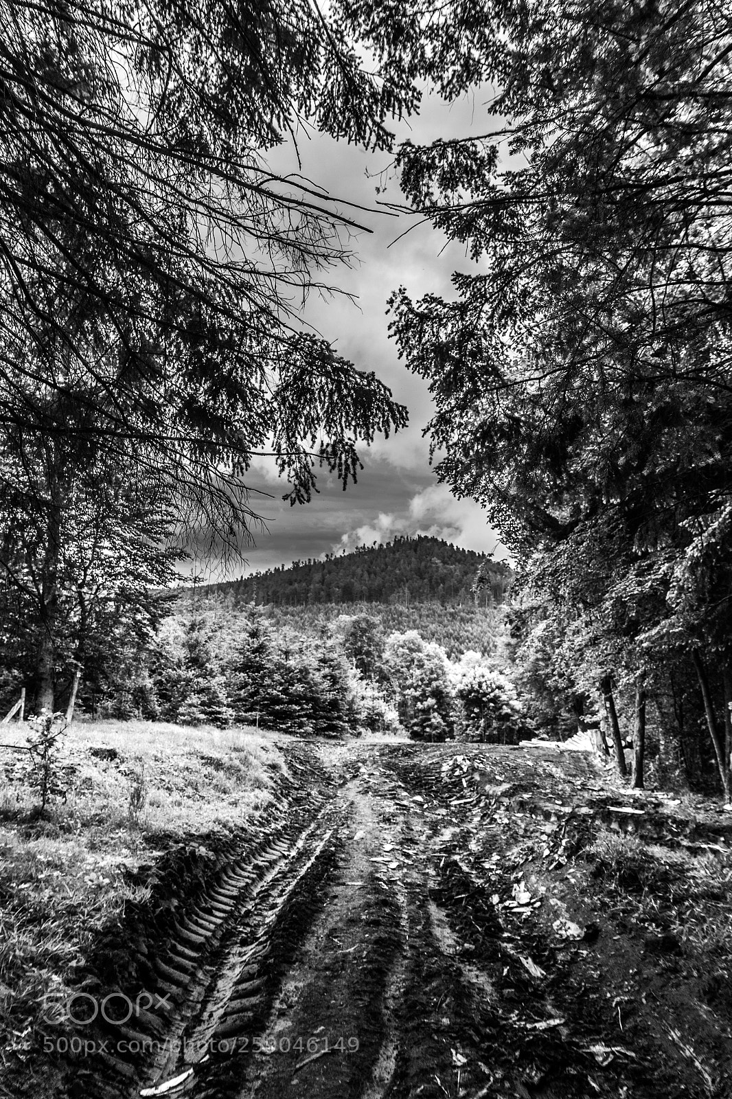 Canon EOS 7D Mark II sample photo. The far away mountain photography