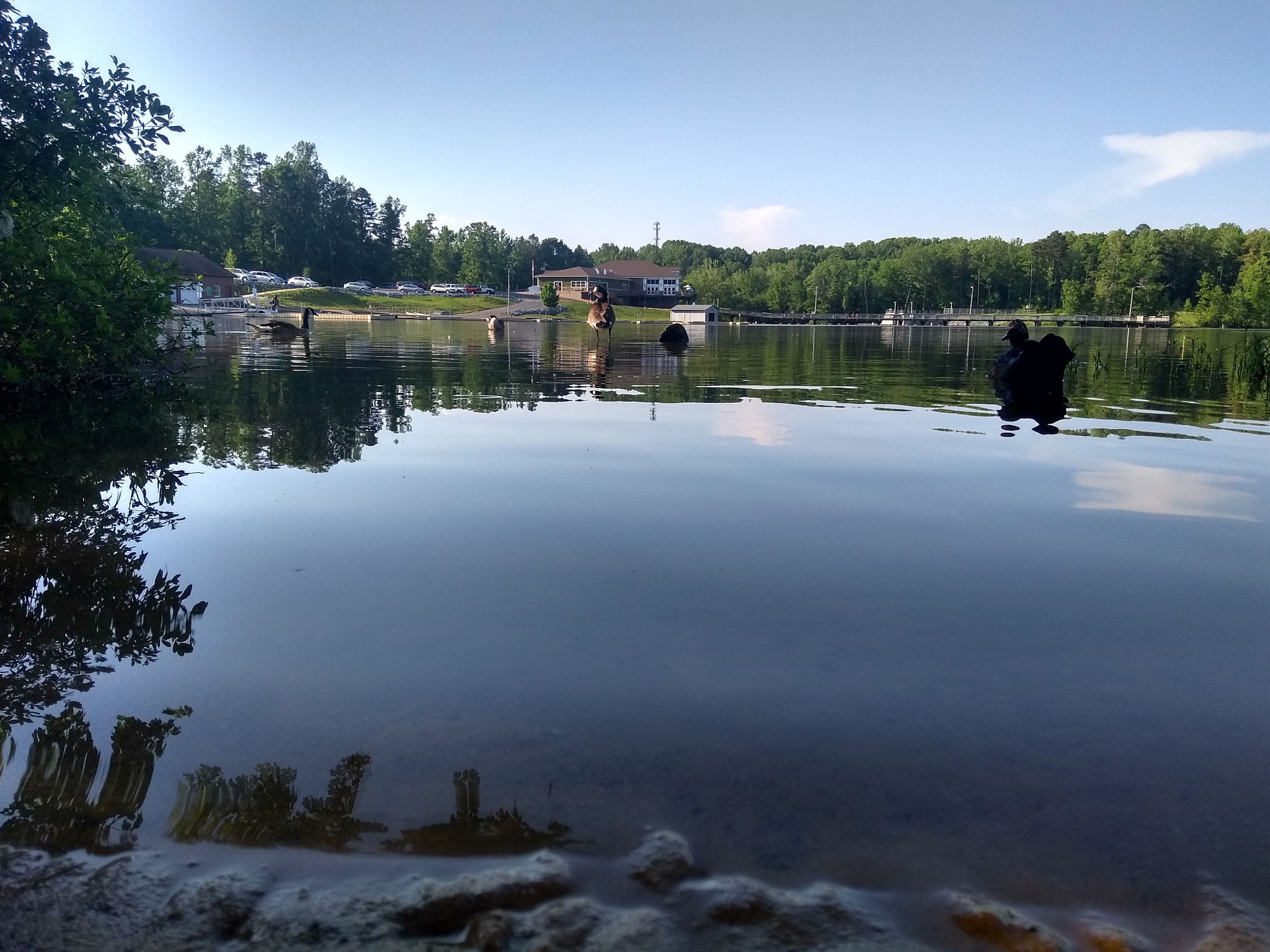 Motorola Moto G (5S) Plus sample photo. Lake days photography