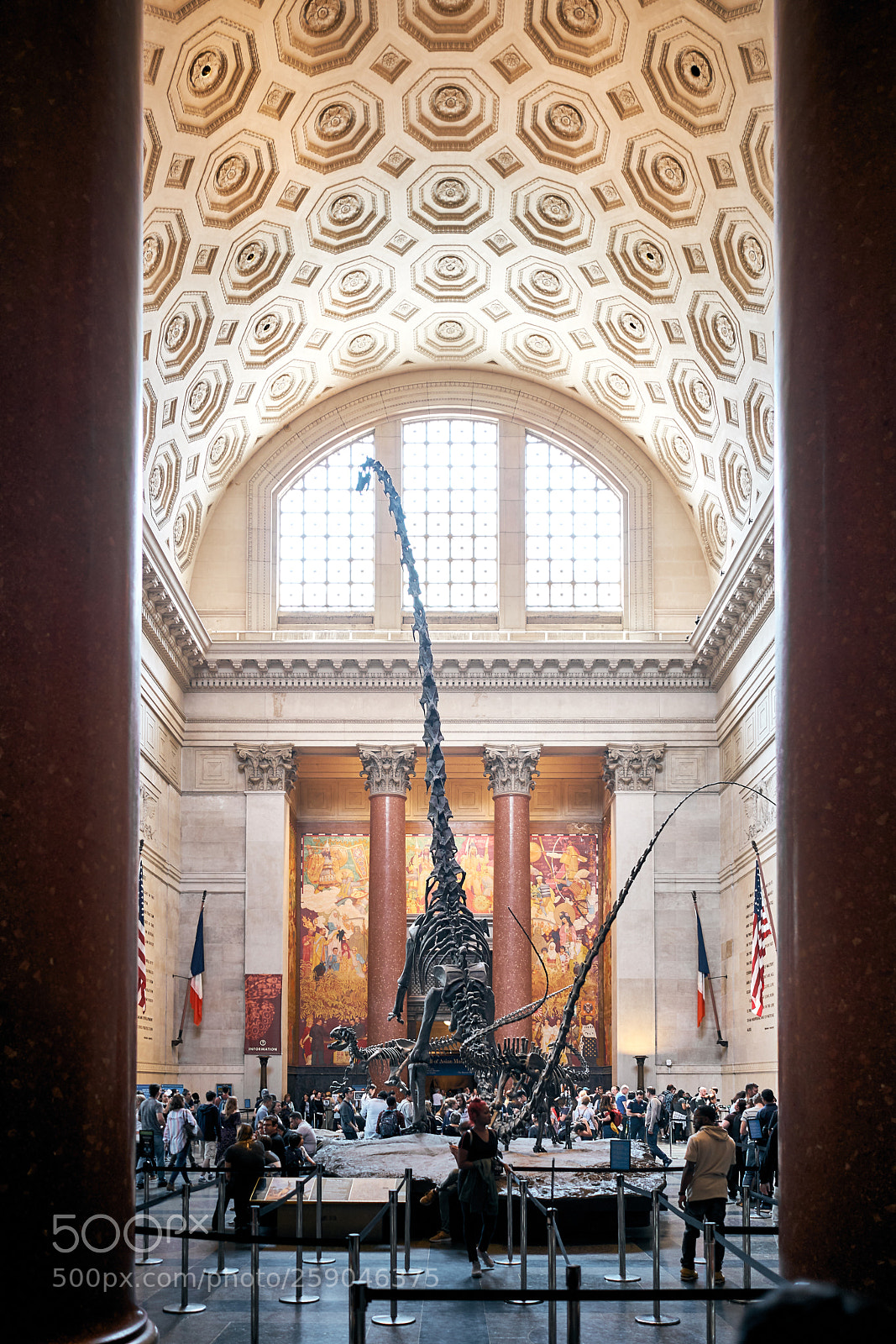 Sony a7R II sample photo. American museum of natural photography