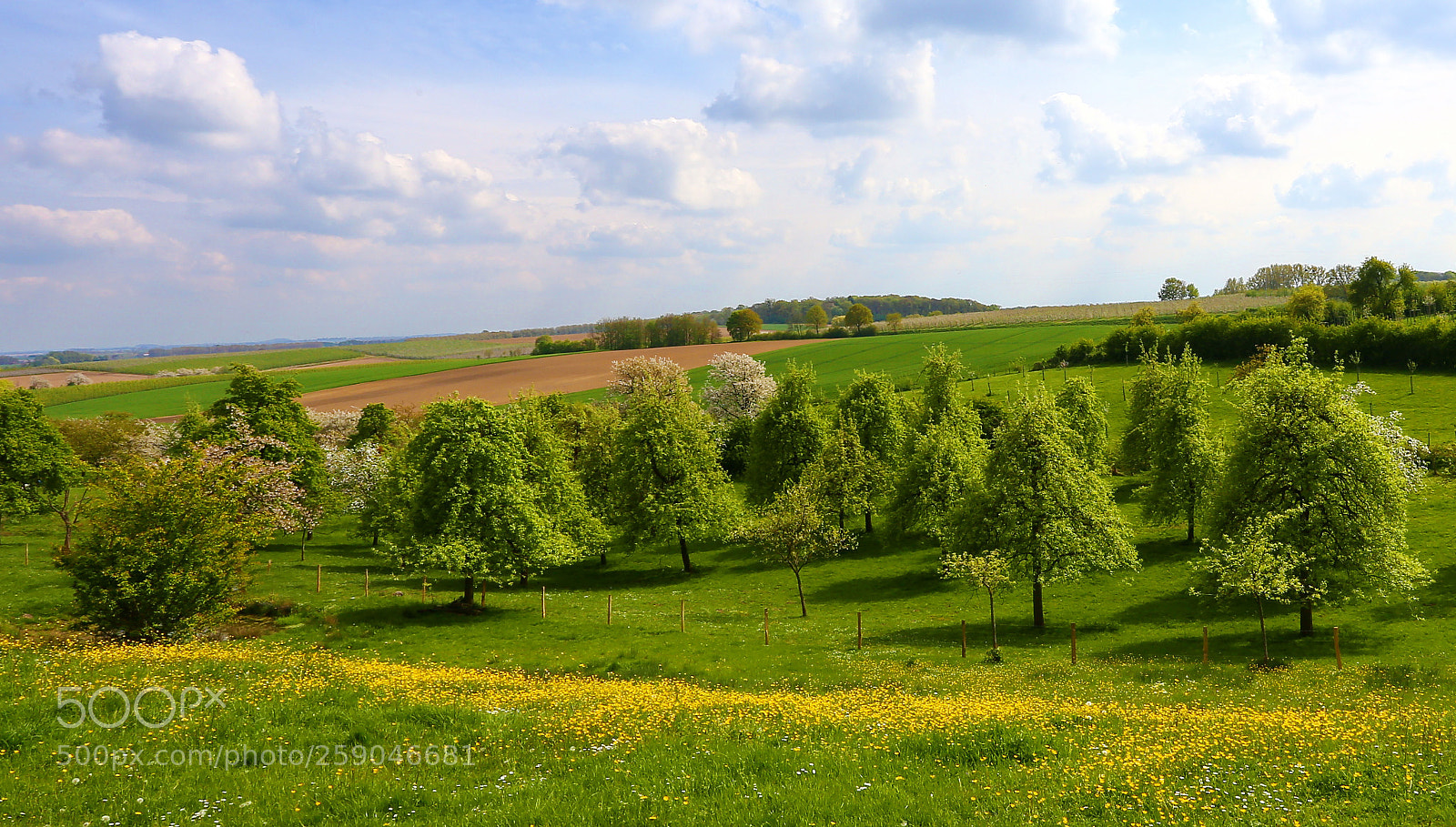 Canon EOS 6D sample photo. Borgloon 2 photography