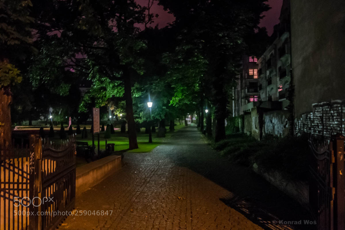 Fujifilm X-E1 sample photo. Poznan_60 photography