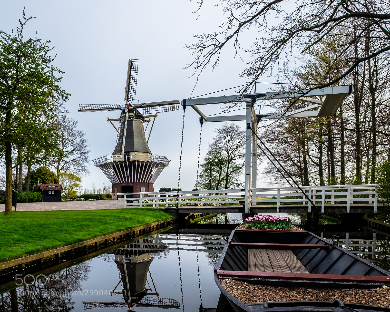 Fujifilm X-T1 sample photo. Keukenhof photography