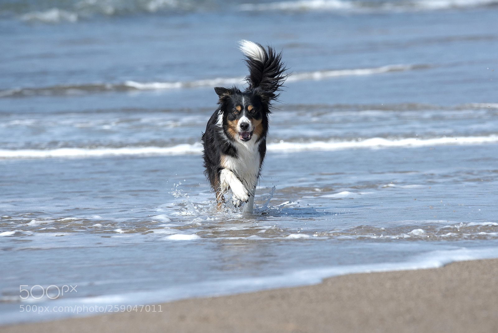 Nikon D750 sample photo. Catja at beach photography