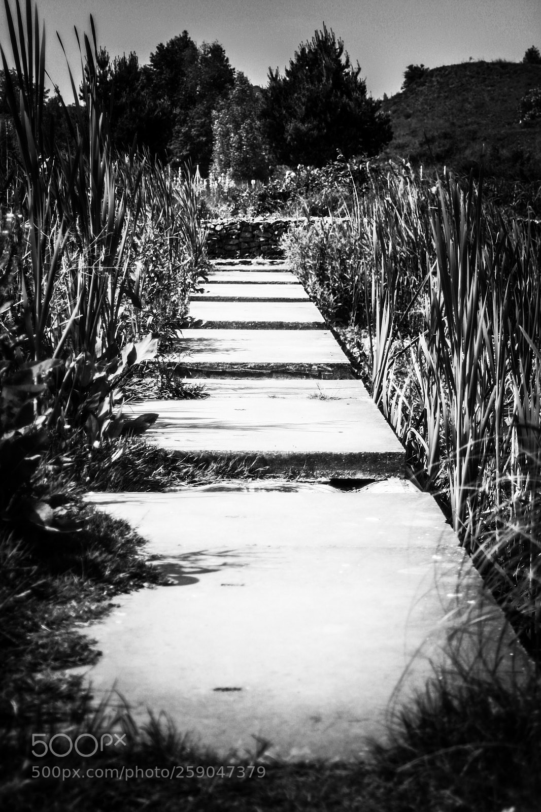 Canon EOS 1000D (EOS Digital Rebel XS / EOS Kiss F) sample photo. Le chemin de pierre photography