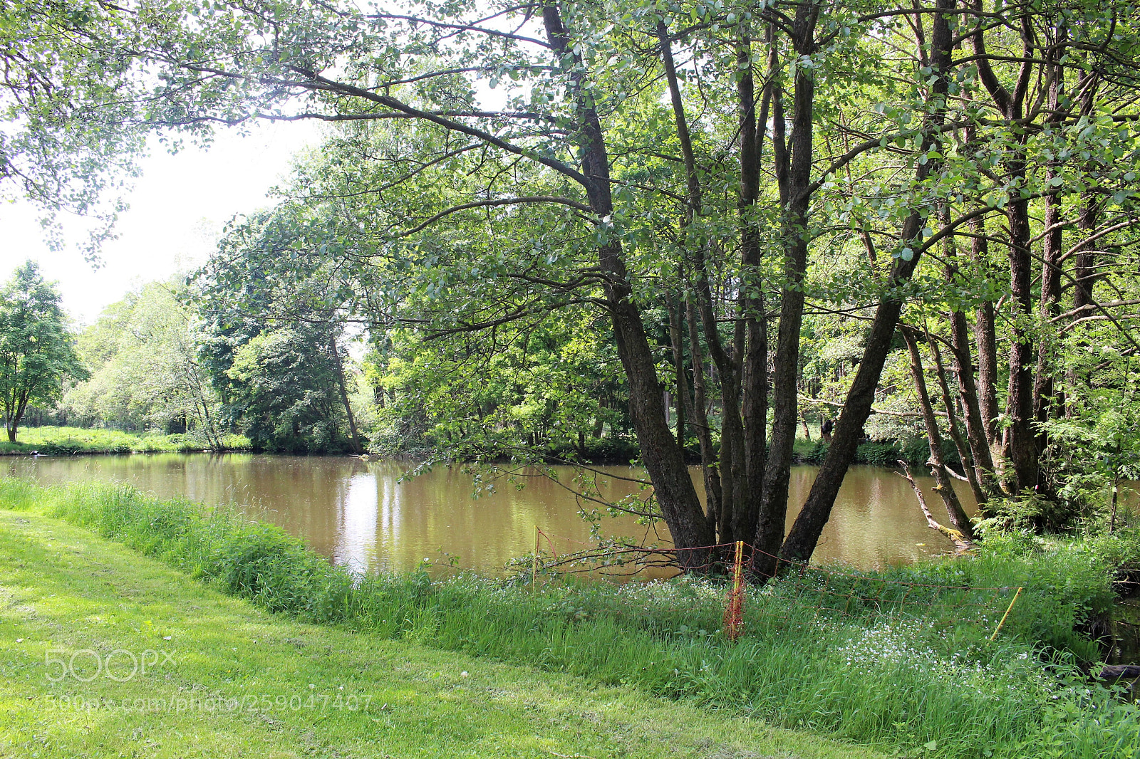 Canon EOS 700D (EOS Rebel T5i / EOS Kiss X7i) sample photo. Angelweiher photography