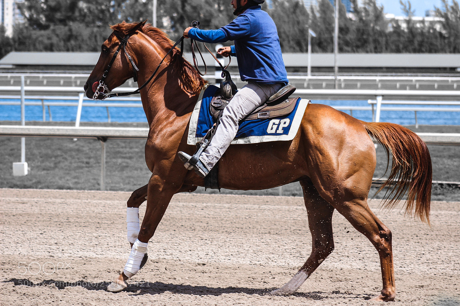 Canon EOS 600D (Rebel EOS T3i / EOS Kiss X5) sample photo. Gulfstream poniers  photography