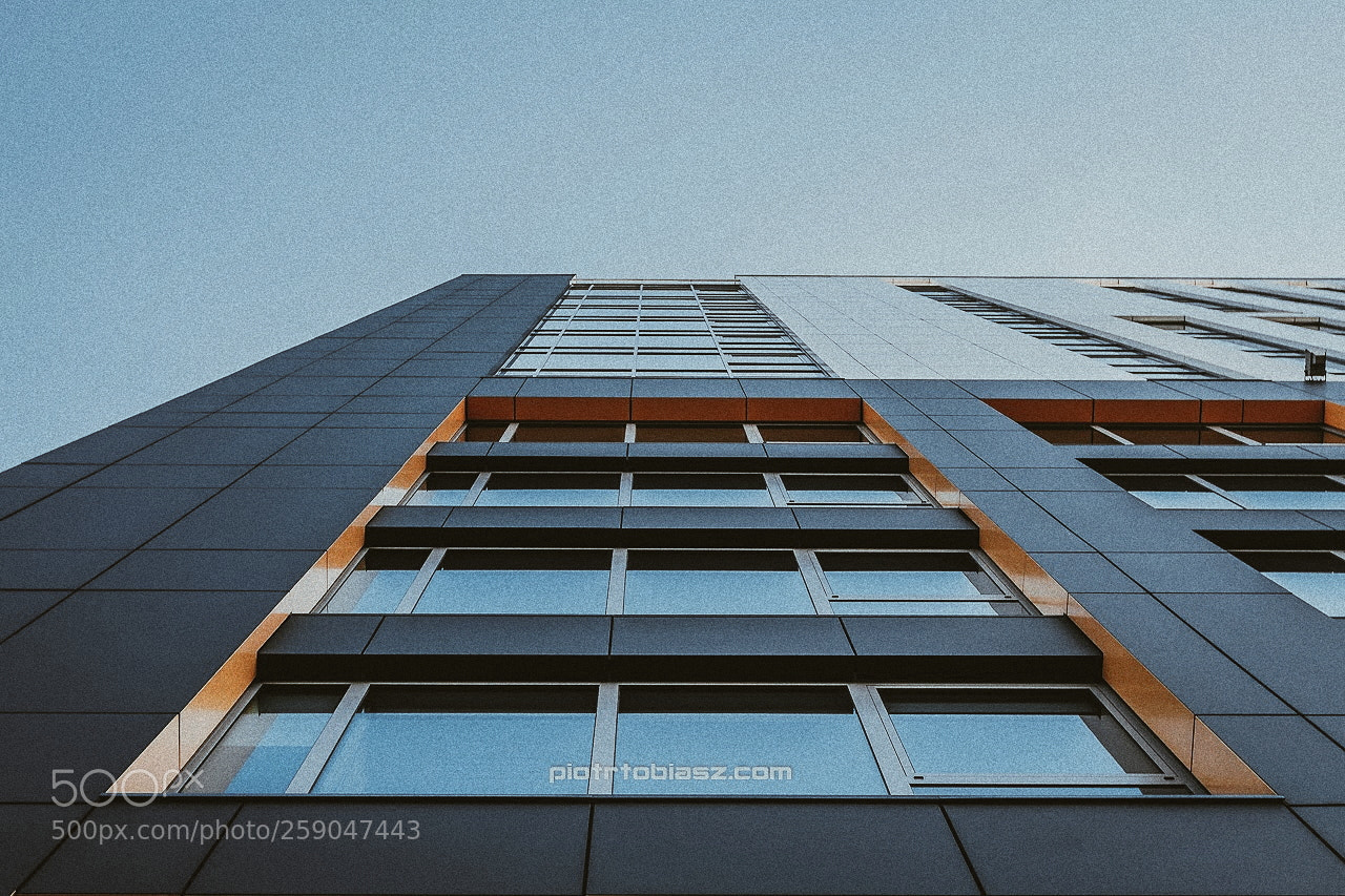 Canon EOS 7D sample photo. Windows. photography