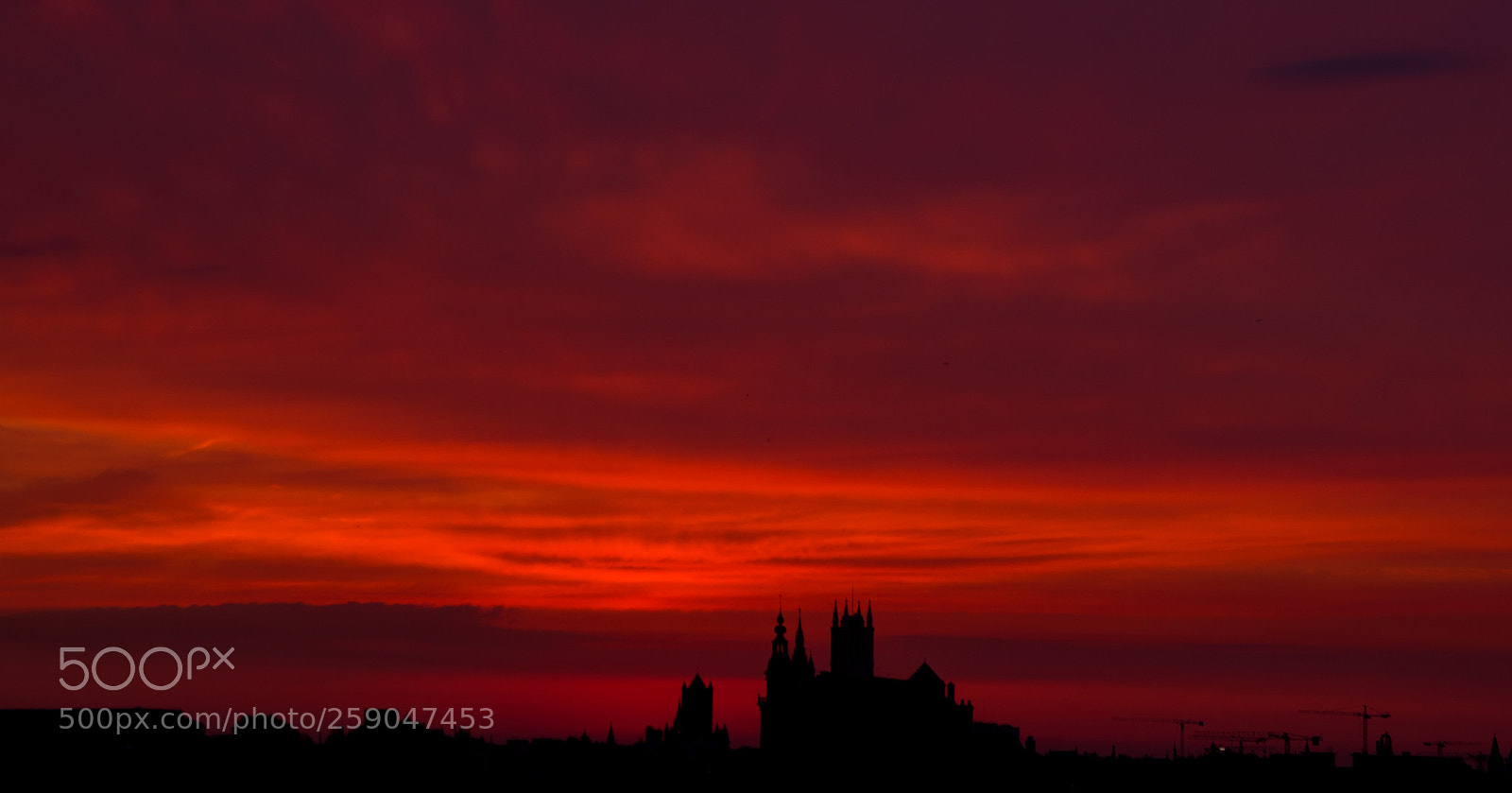 Nikon D750 sample photo. Sunset photography