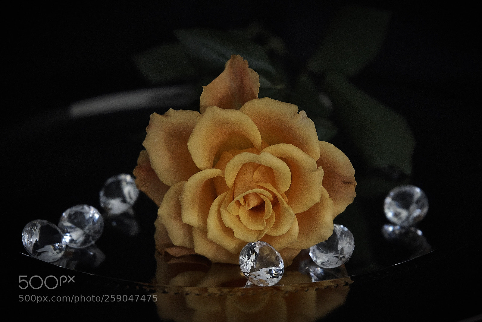 Sony a7R sample photo. Glitter photography