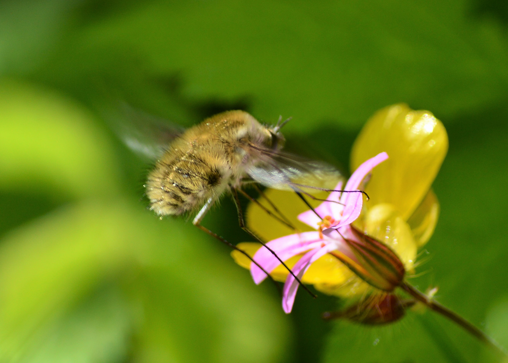 Nikon D3200 sample photo