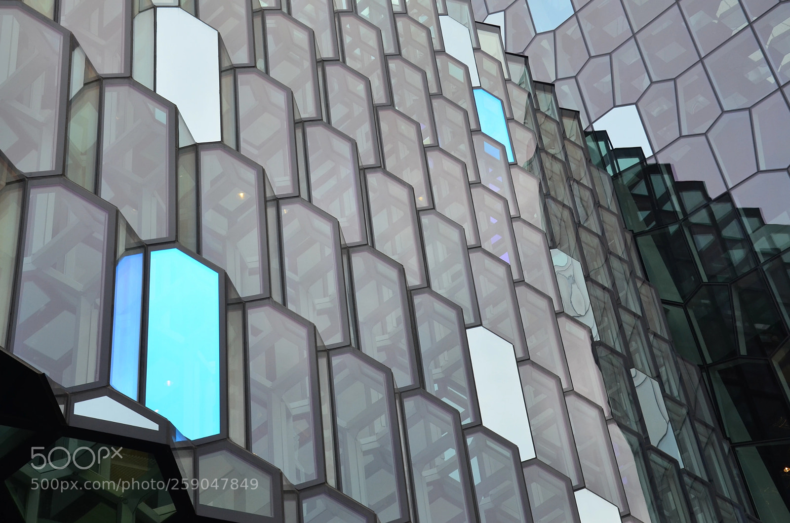 Nikon D5100 sample photo. Harpa photography