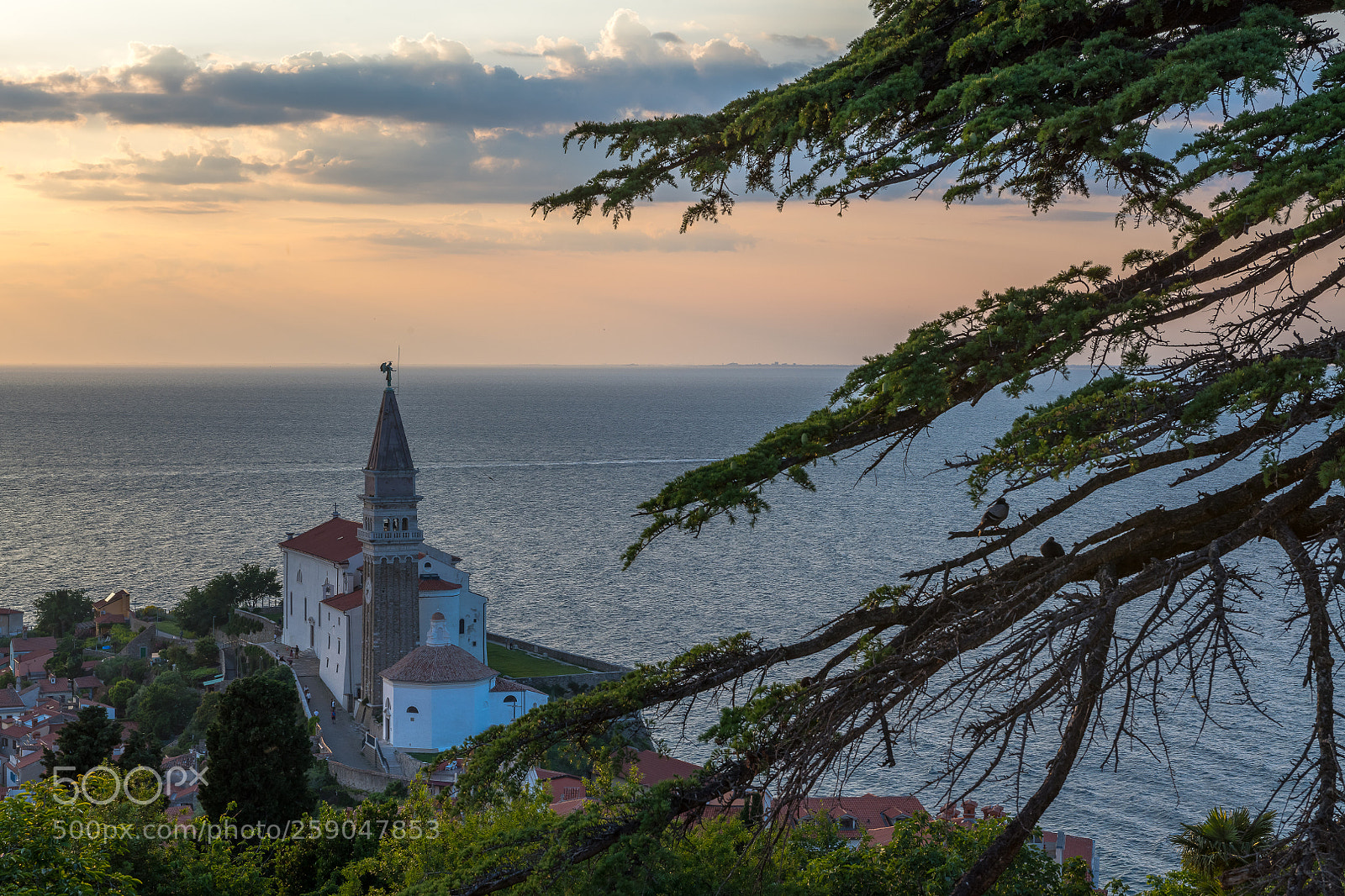 Nikon D850 sample photo. Sunset in piran photography