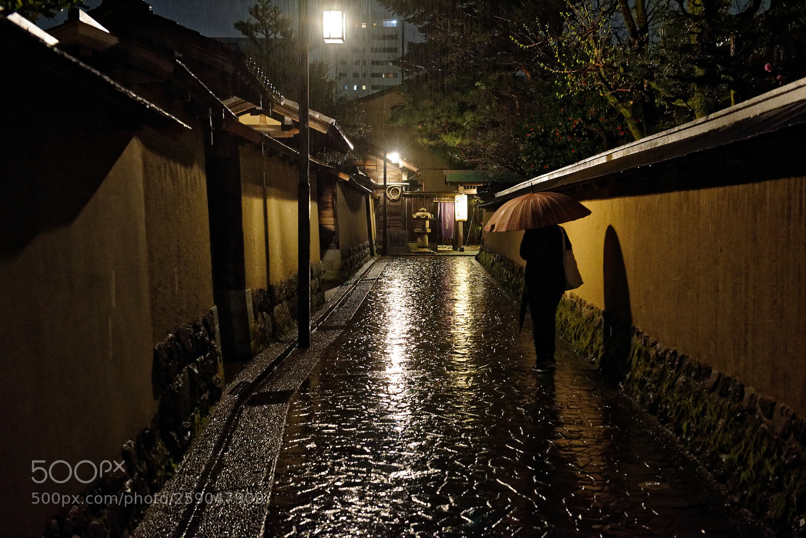 Nikon D810 sample photo. Silent shadows under the photography