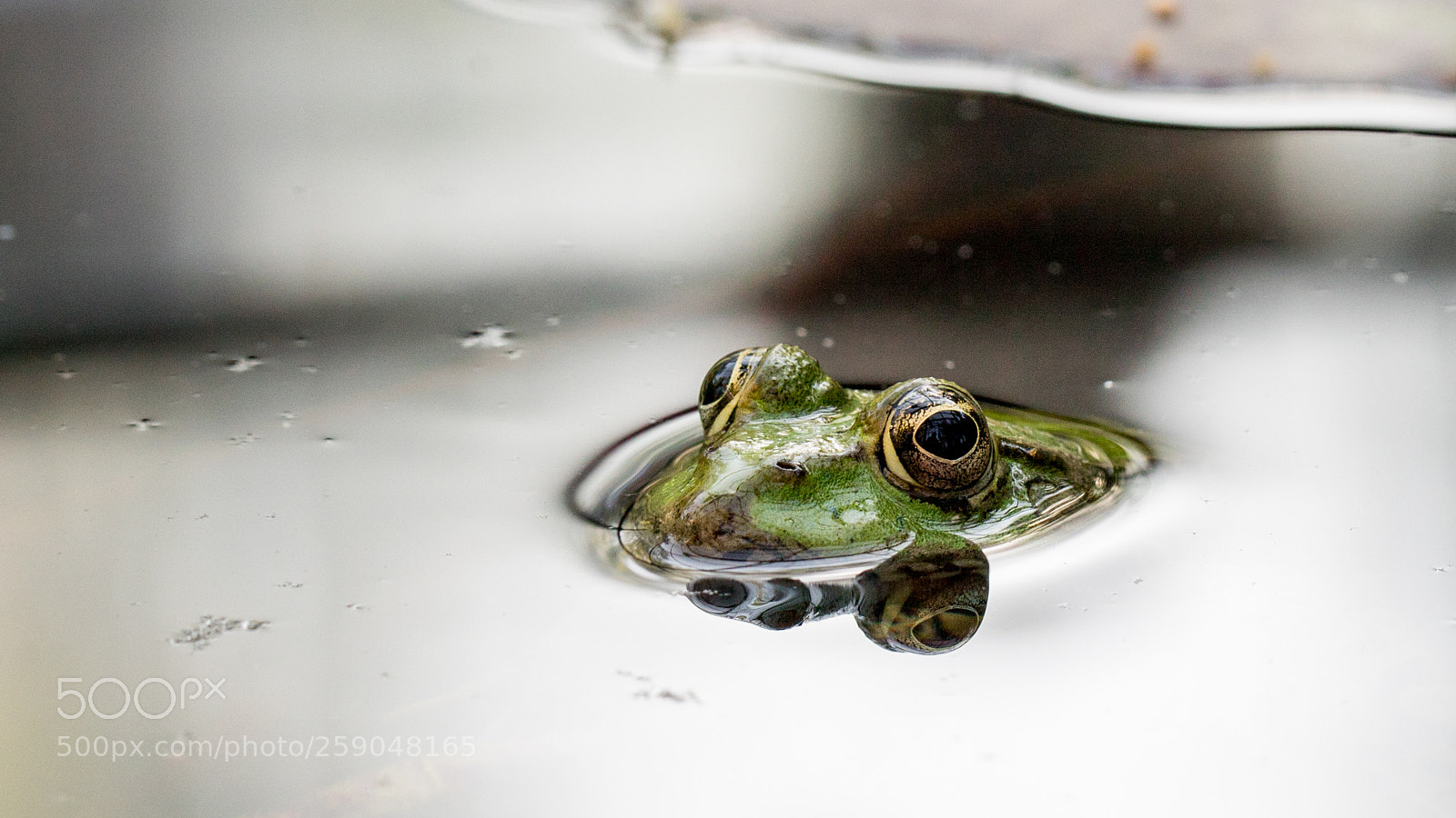 Canon EOS 5D Mark IV sample photo. Water photography