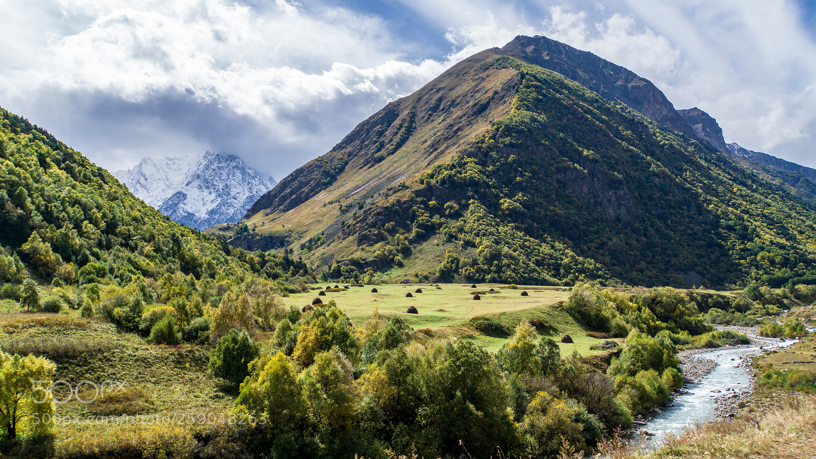 Sony a6000 sample photo. High-mountain meadow photography