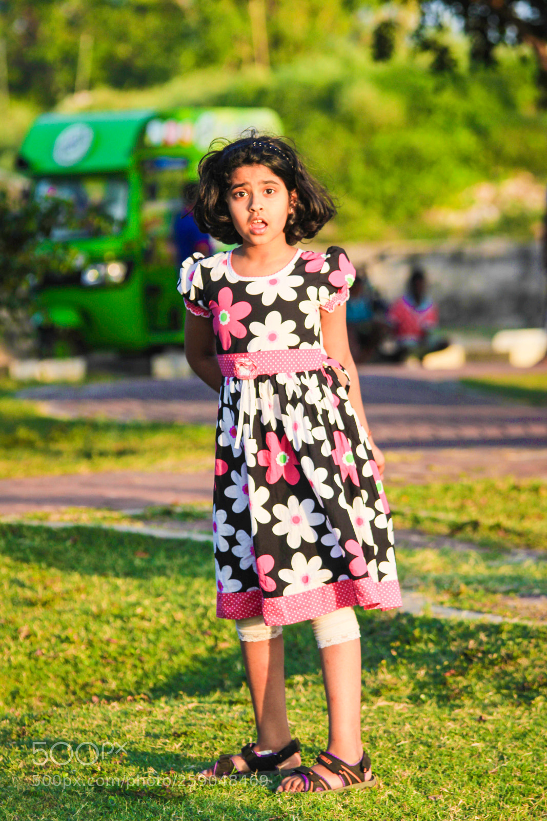 Canon EOS 600D (Rebel EOS T3i / EOS Kiss X5) sample photo. Anjanai photography