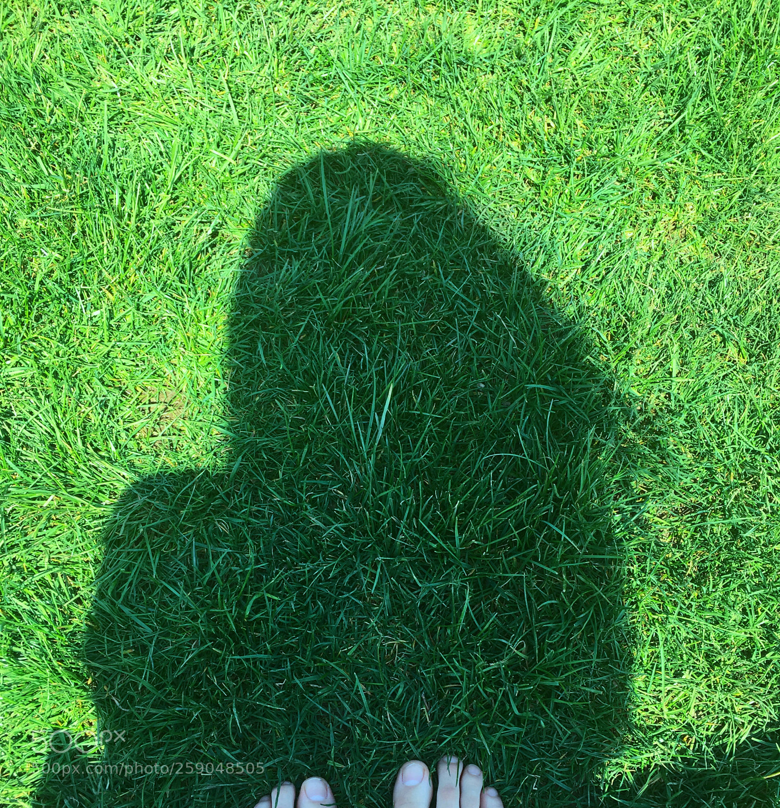 Apple iPhone SE sample photo. Summer shadows photography