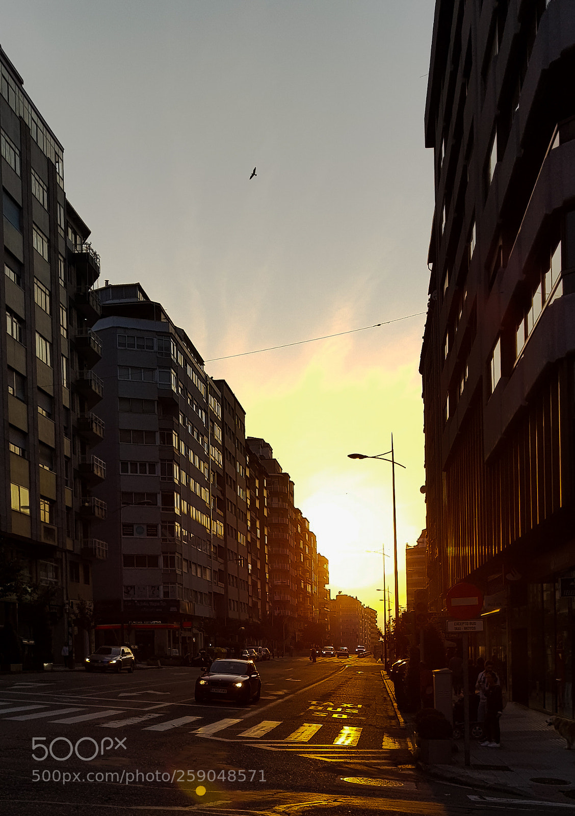 Samsung Galaxy S8 sample photo. Untitled photography