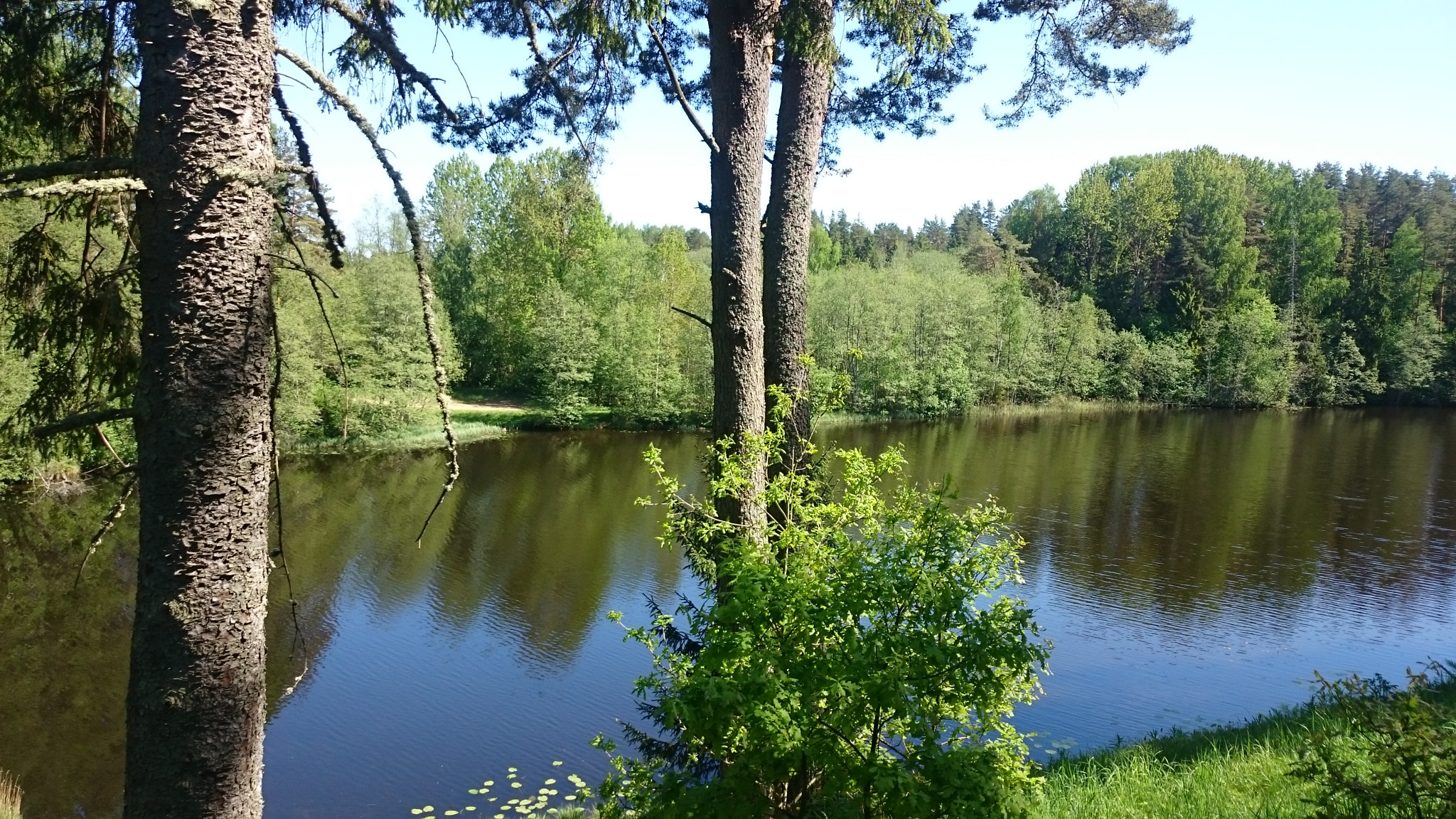 Sony Xperia Z1 Compact sample photo. Lake photography