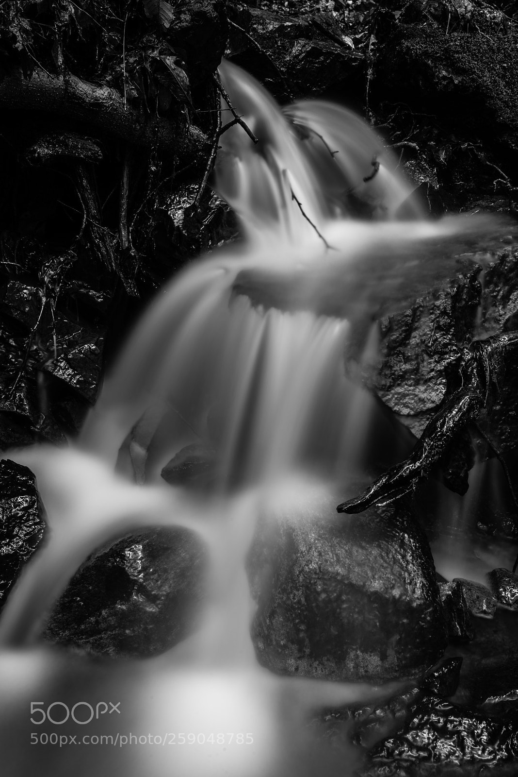 Nikon D750 sample photo. Mud photography