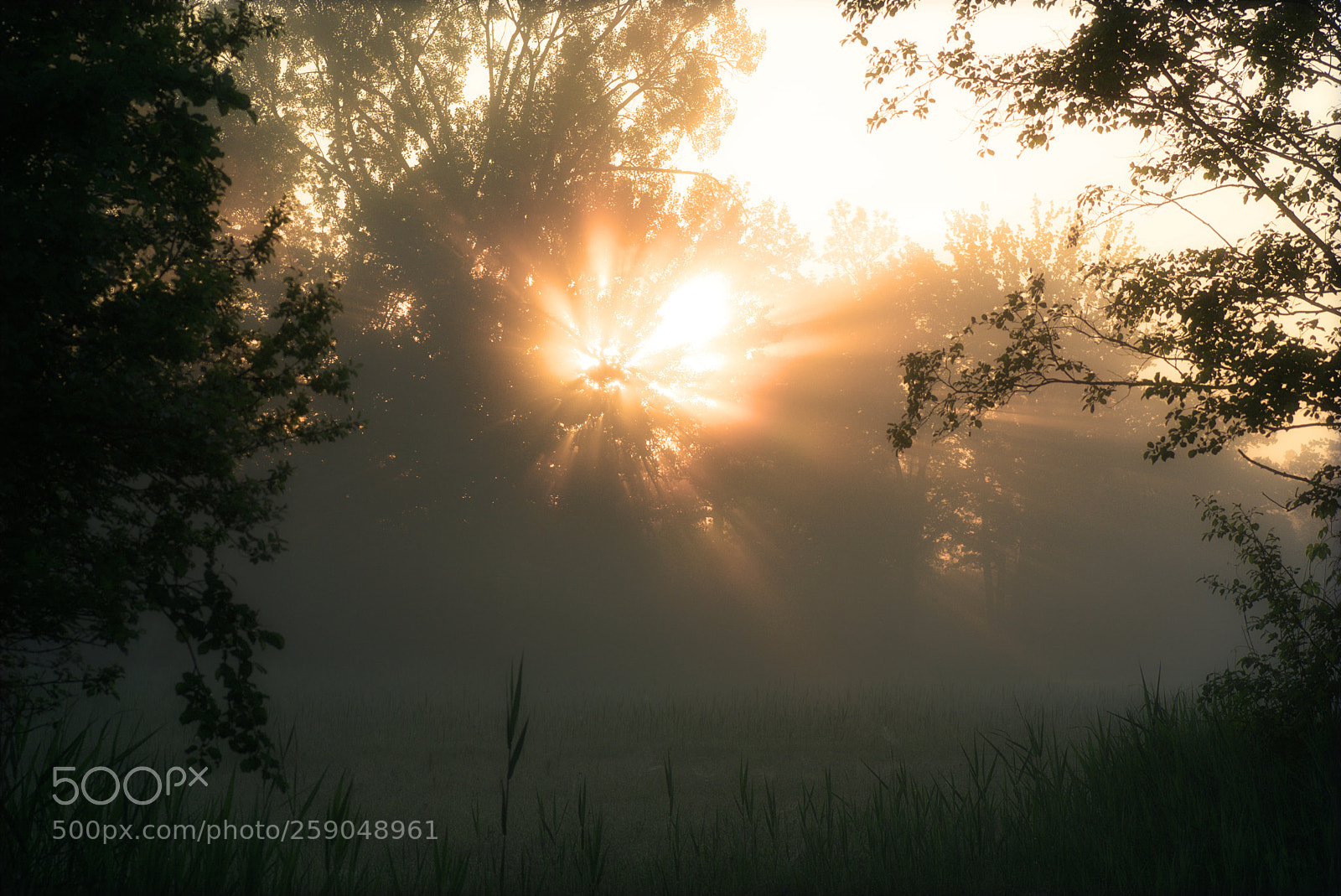 Sony ILCA-77M2 sample photo. Sunrise hirschau photography