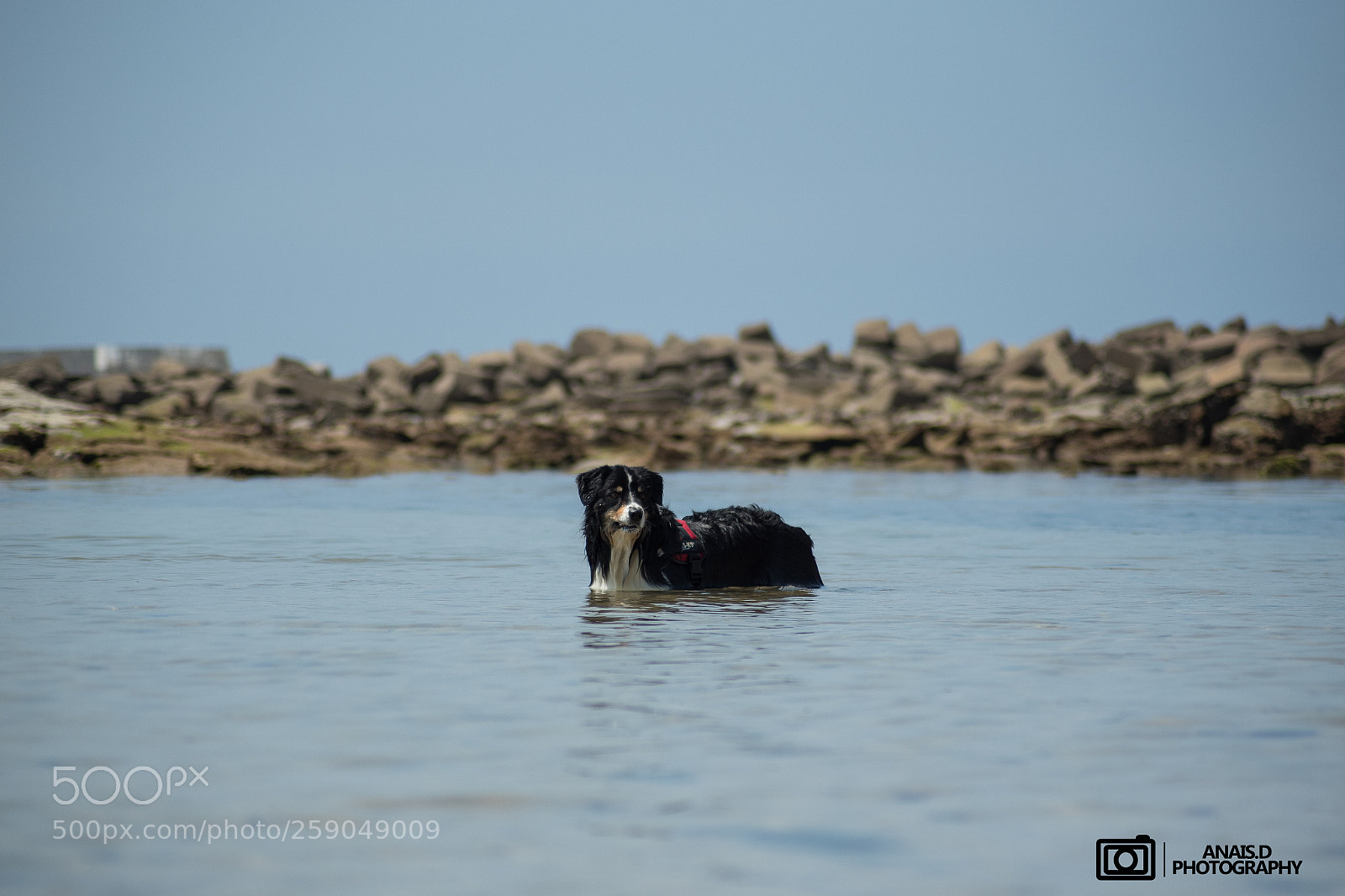 Nikon D750 sample photo. Havane photography
