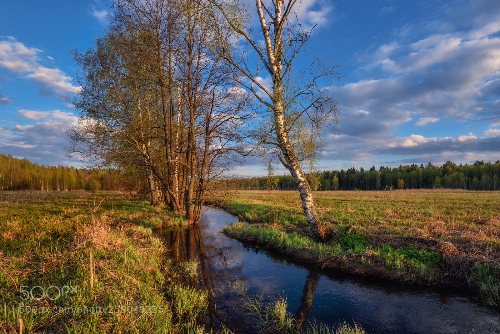 Nikon D750 sample photo. весенний пейзаж photography