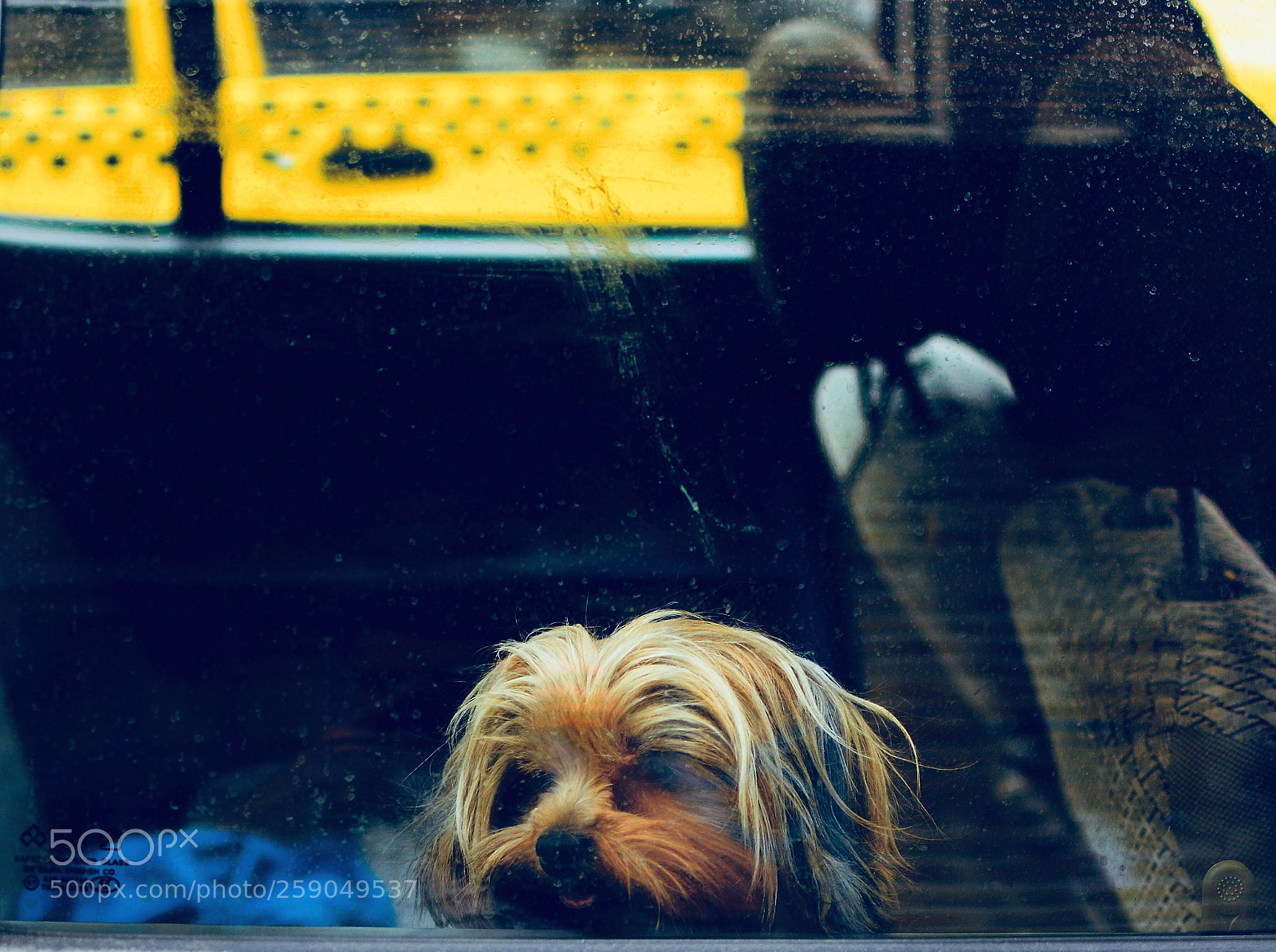 Nikon D7100 sample photo. Im xo xo tired photography