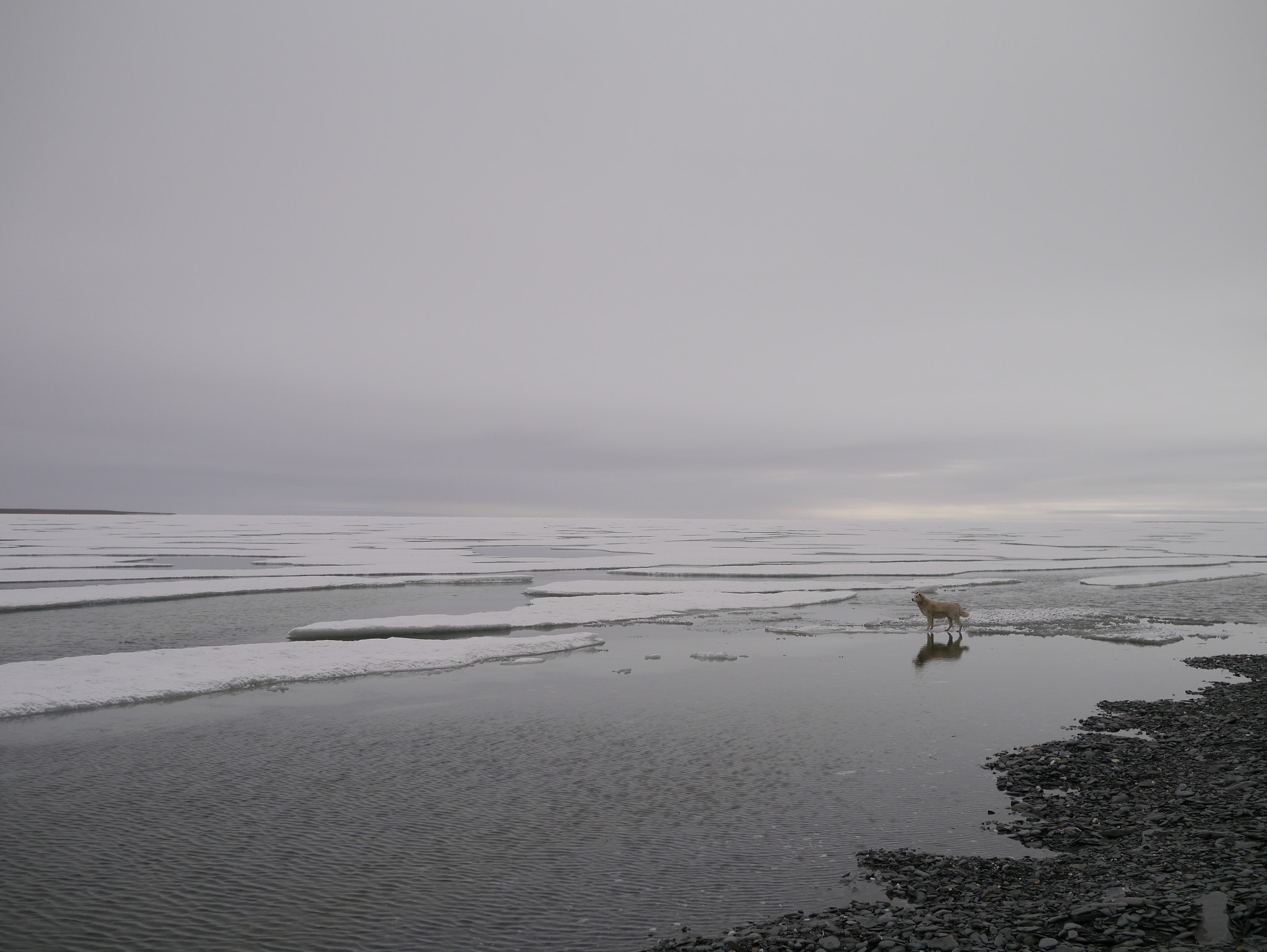 Panasonic Lumix DMC-GX1 sample photo. Kara sea photography