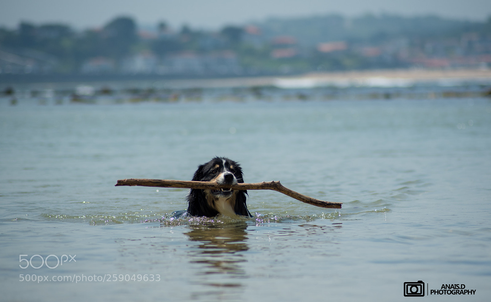 Nikon D750 sample photo. Plage avec havane photography