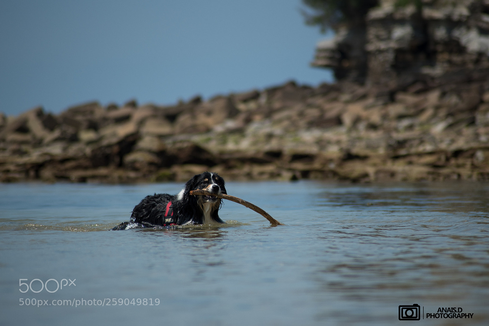 Nikon D750 sample photo. Plage avec havane photography