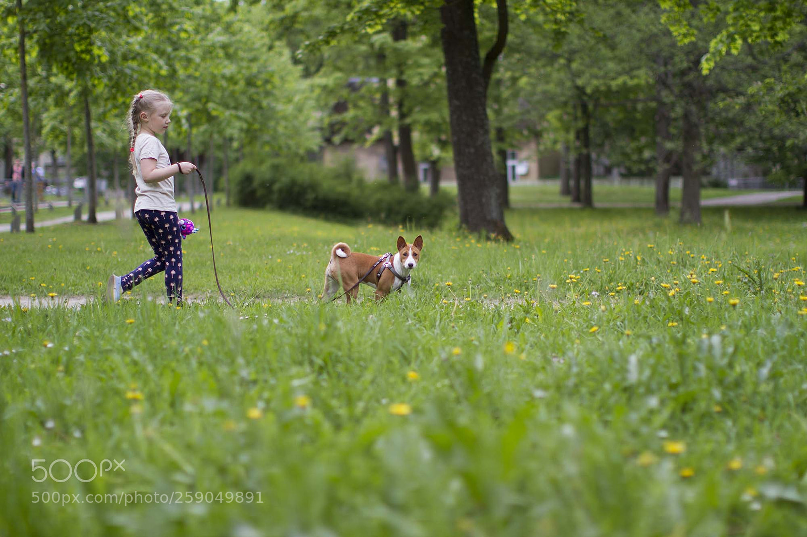 Canon EOS 7D sample photo. Dog walker photography