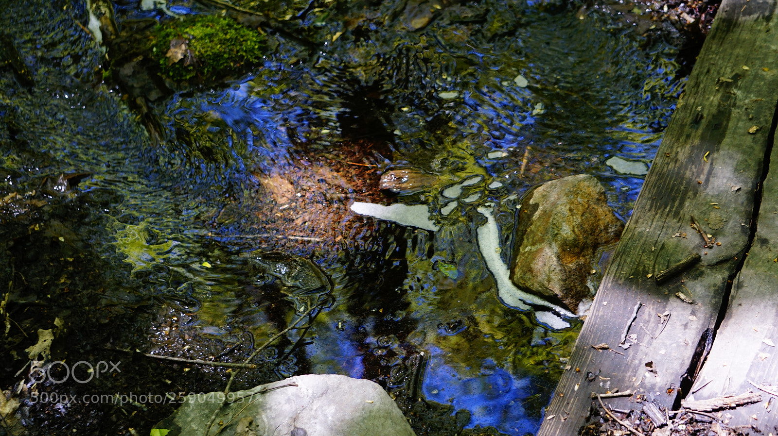 Sony a6000 sample photo. Dsc photography