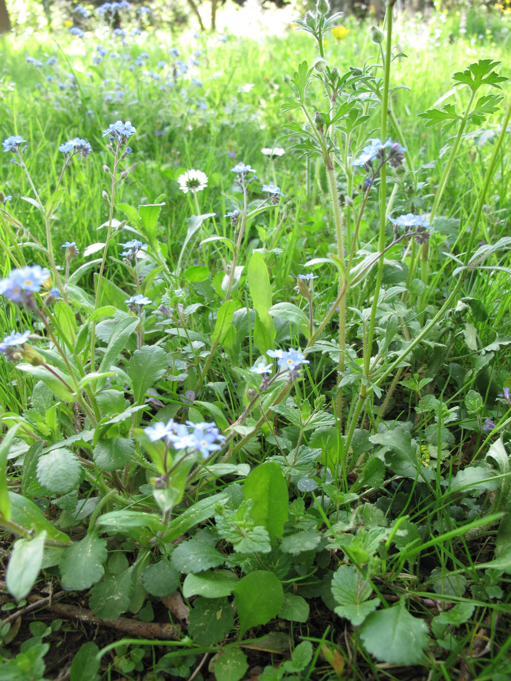 Canon PowerShot G10 sample photo. Img photography