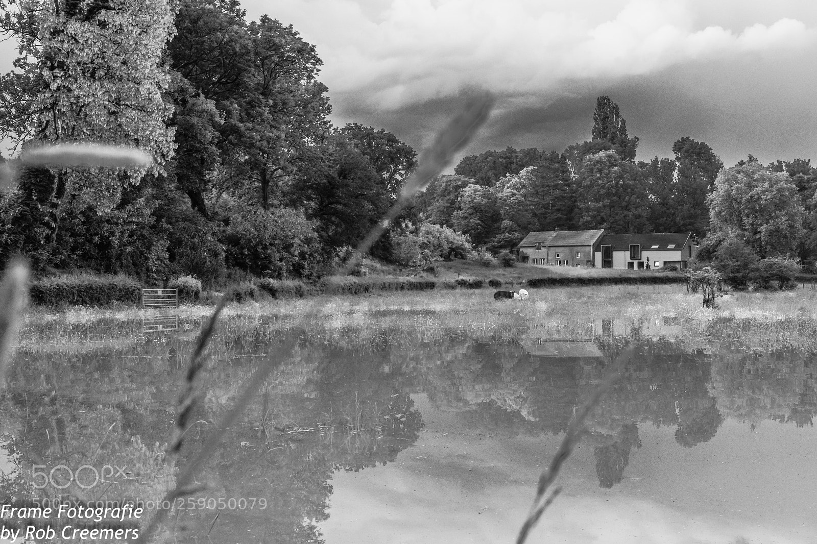 Nikon D7200 sample photo. Wetscape photography