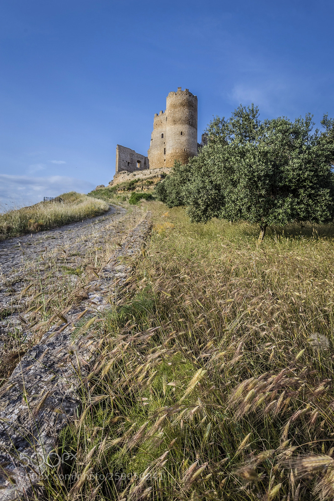 Canon EOS 6D sample photo. Castello di mazzarino photography