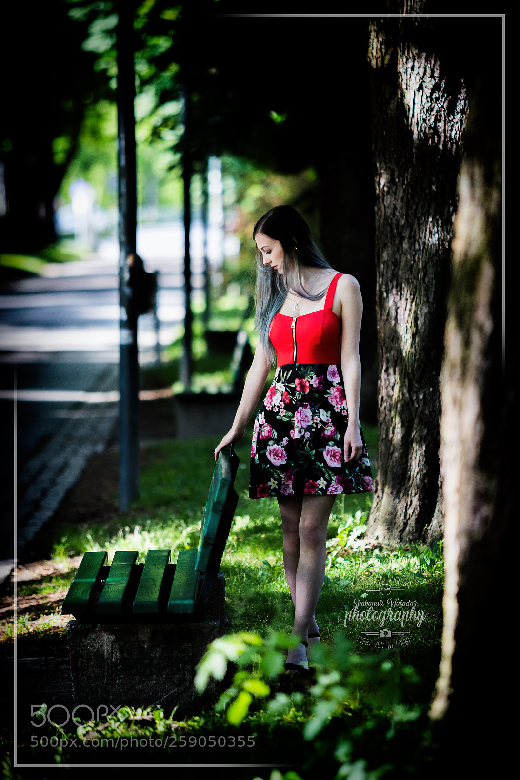 Canon EOS 6D Mark II sample photo. Photo by shabanali wafadar photography